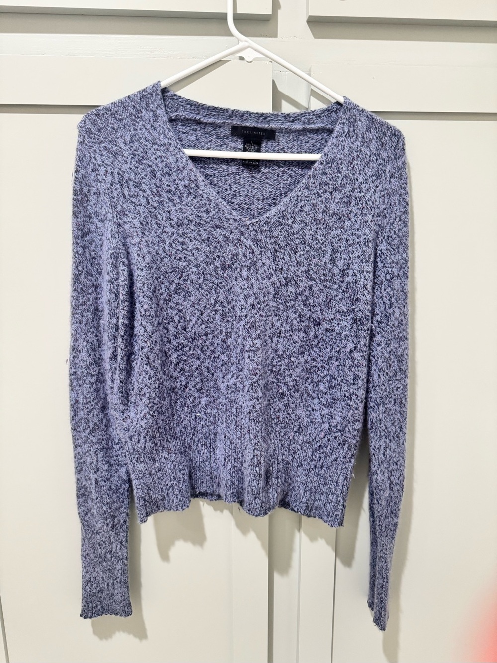 The Limited Women's V-Neck Wool Blend Sweater in Purple